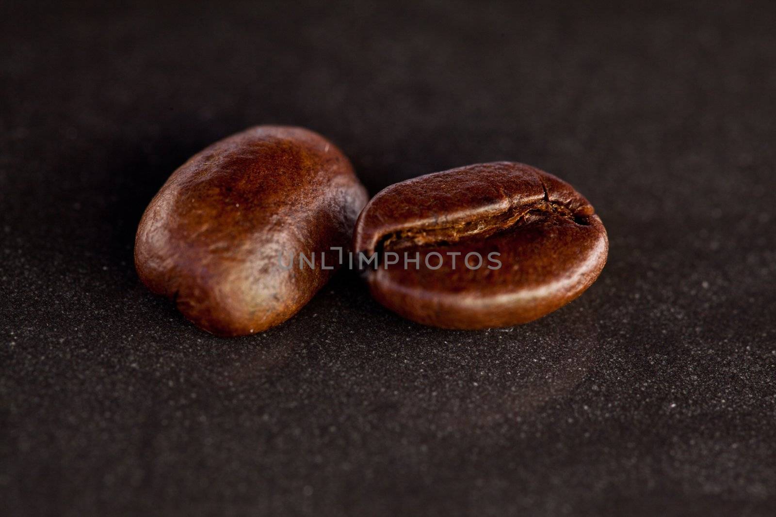 Two coffee seeds by Wavebreakmedia