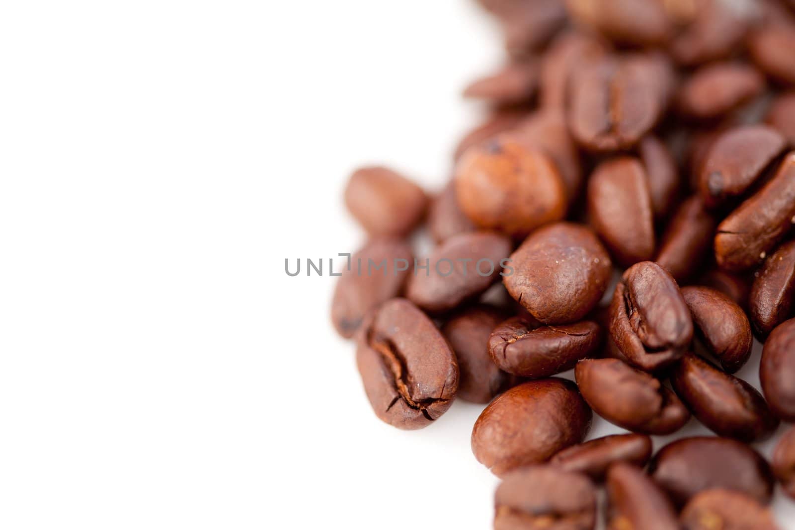 Dark blurred coffee seeds laid out together against a white background