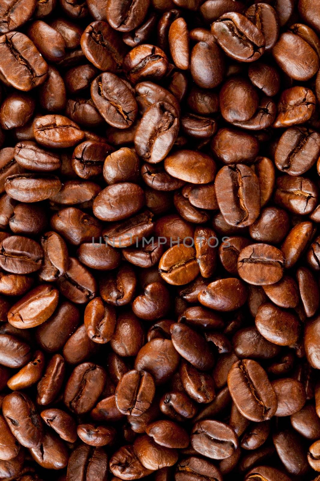 Close up of coffee seeds by Wavebreakmedia