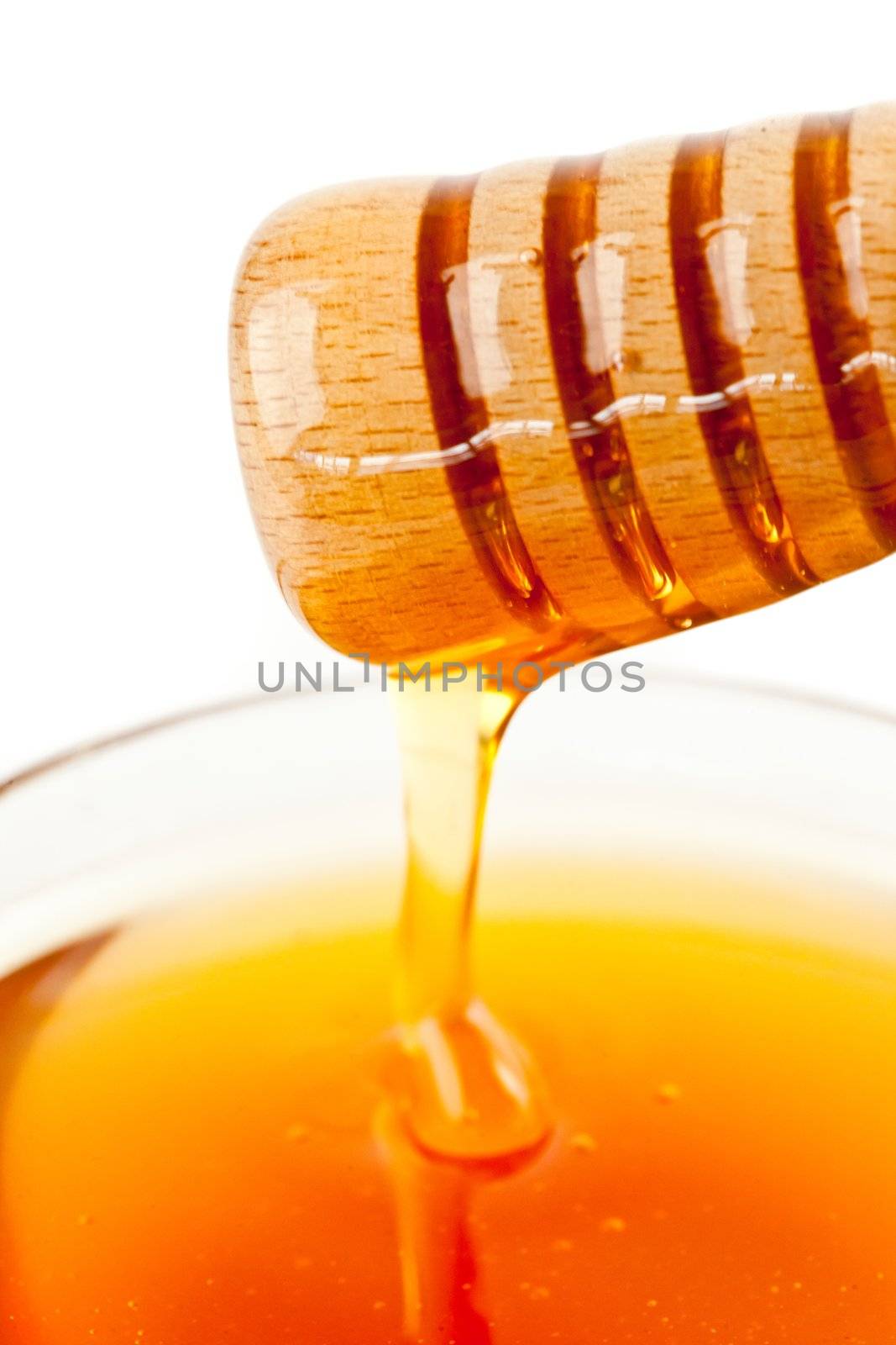 Honey sticky trickle on a dipper dropping in a honey bowl by Wavebreakmedia