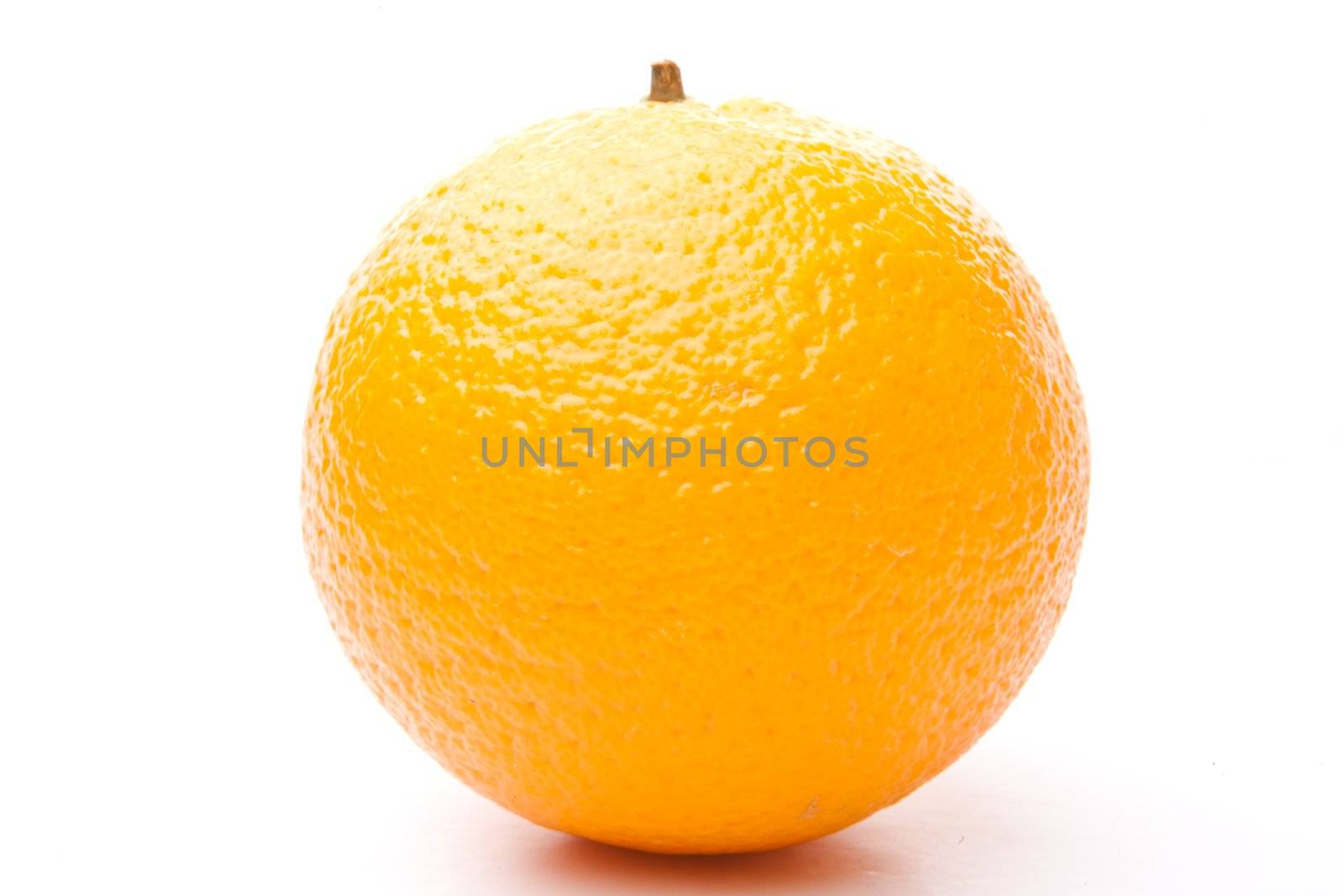 One orange against white background