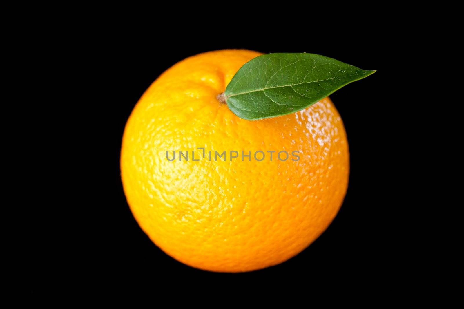 Orange  fruit against a black background