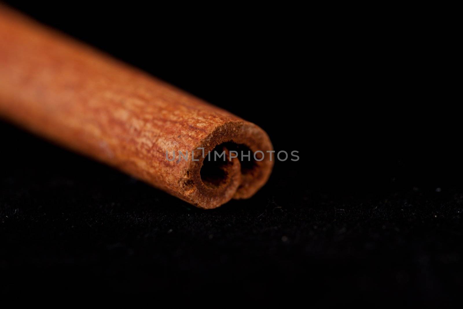 Close up of a cinnamon stick against a black background