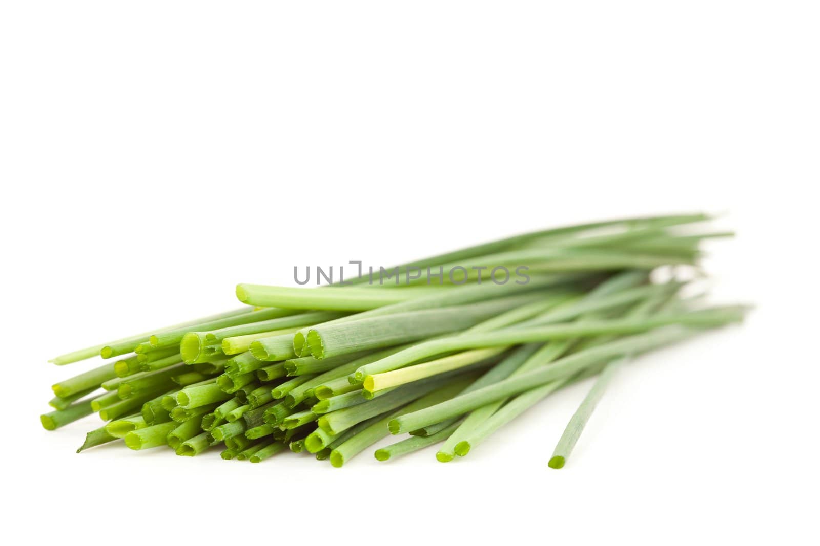 Close up of chive branches against a white background