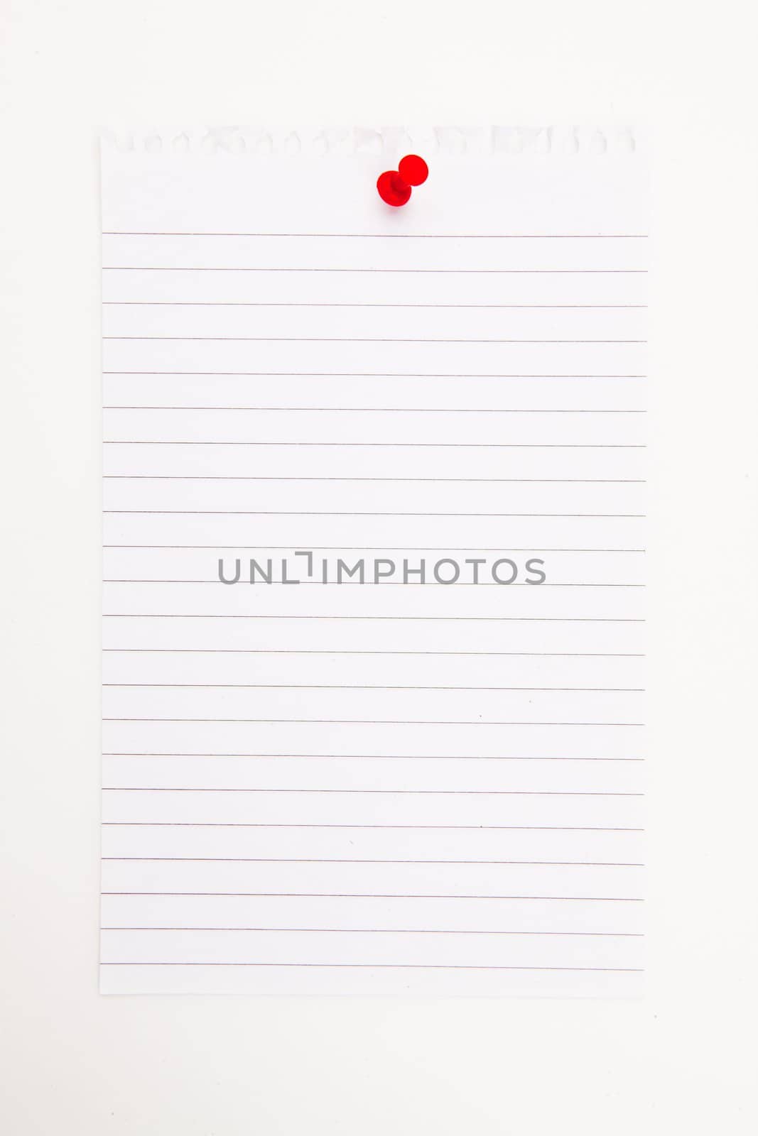 Blank page with red thumbtack against a white background