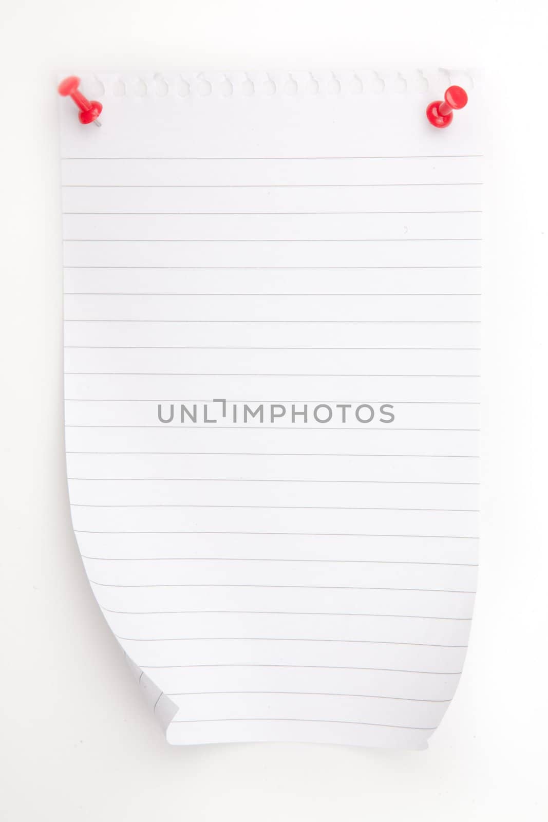 Blank paper  with red pushpin against a white background