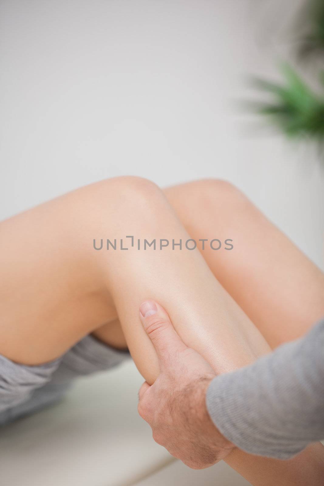 Close up of a masseur massaging a calf in a room