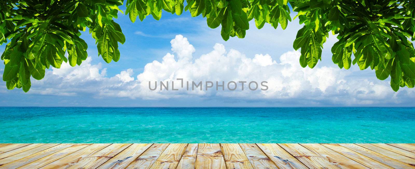 beach and tropical sea by Pakhnyushchyy