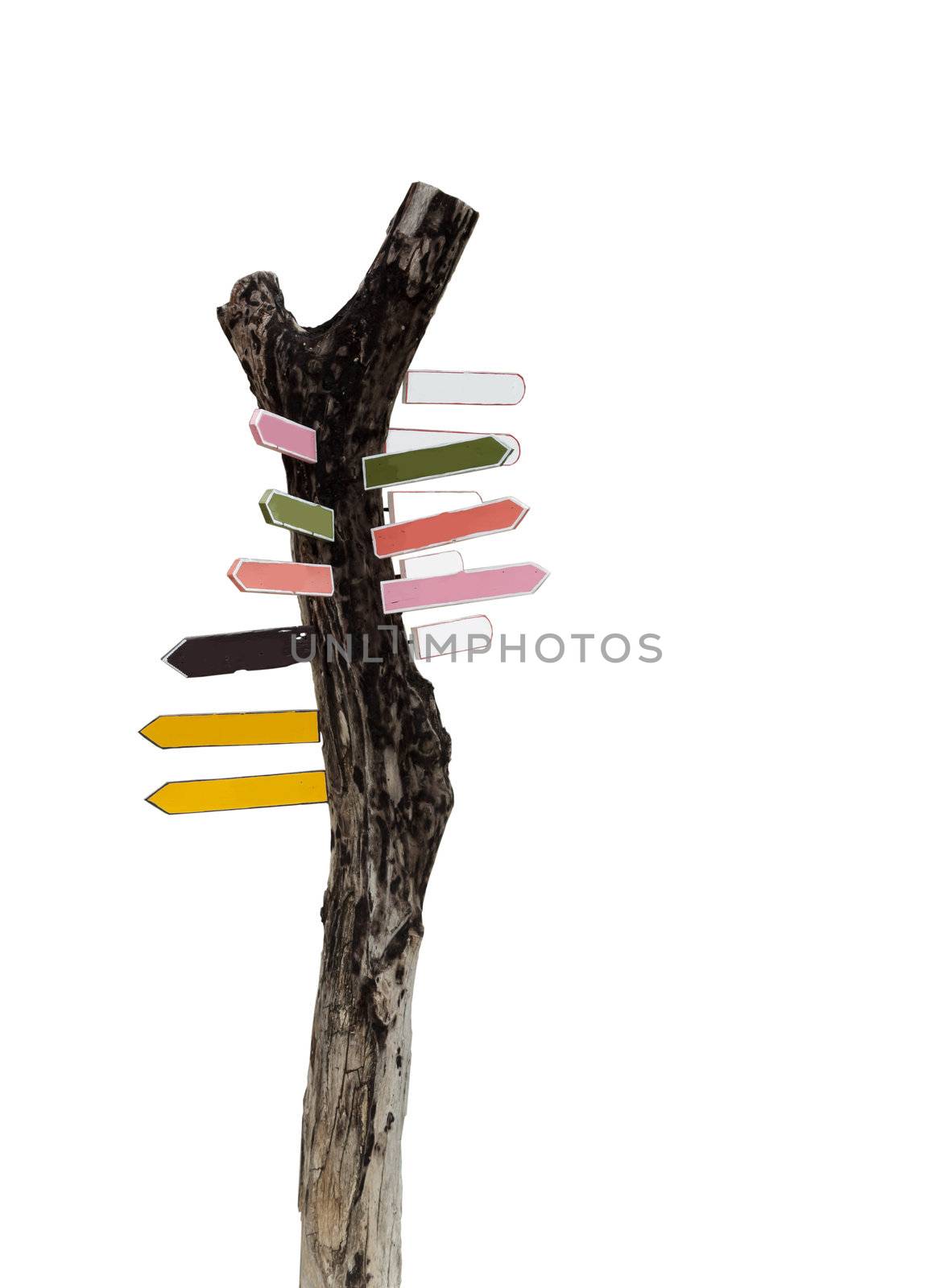 Isolated wooden signpost with multiple directions, signs empty for text