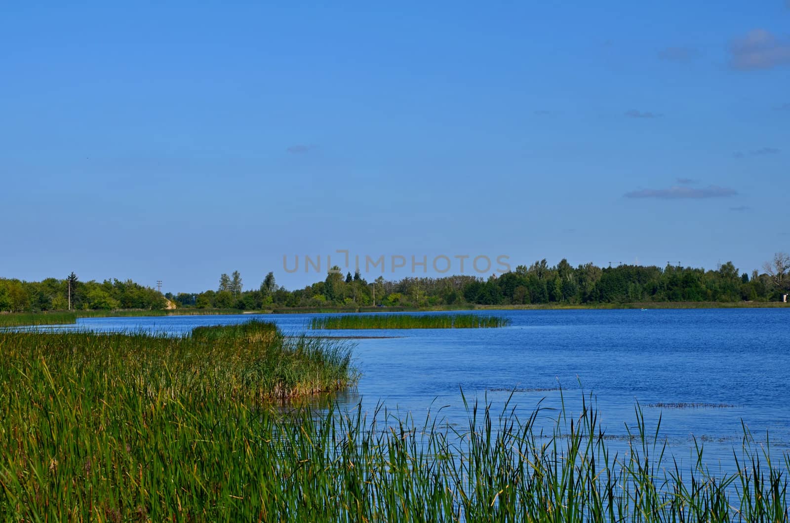 Kind on lake near to the city of Dubna of Moscow Region