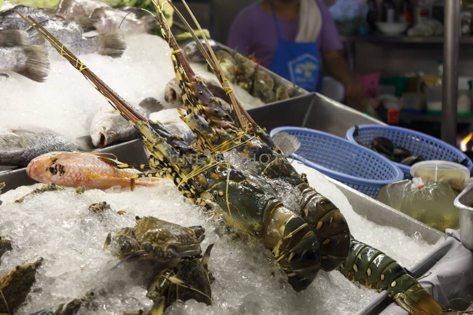 Lobsters and other sea animal in tray with ice at seafood restaurant.