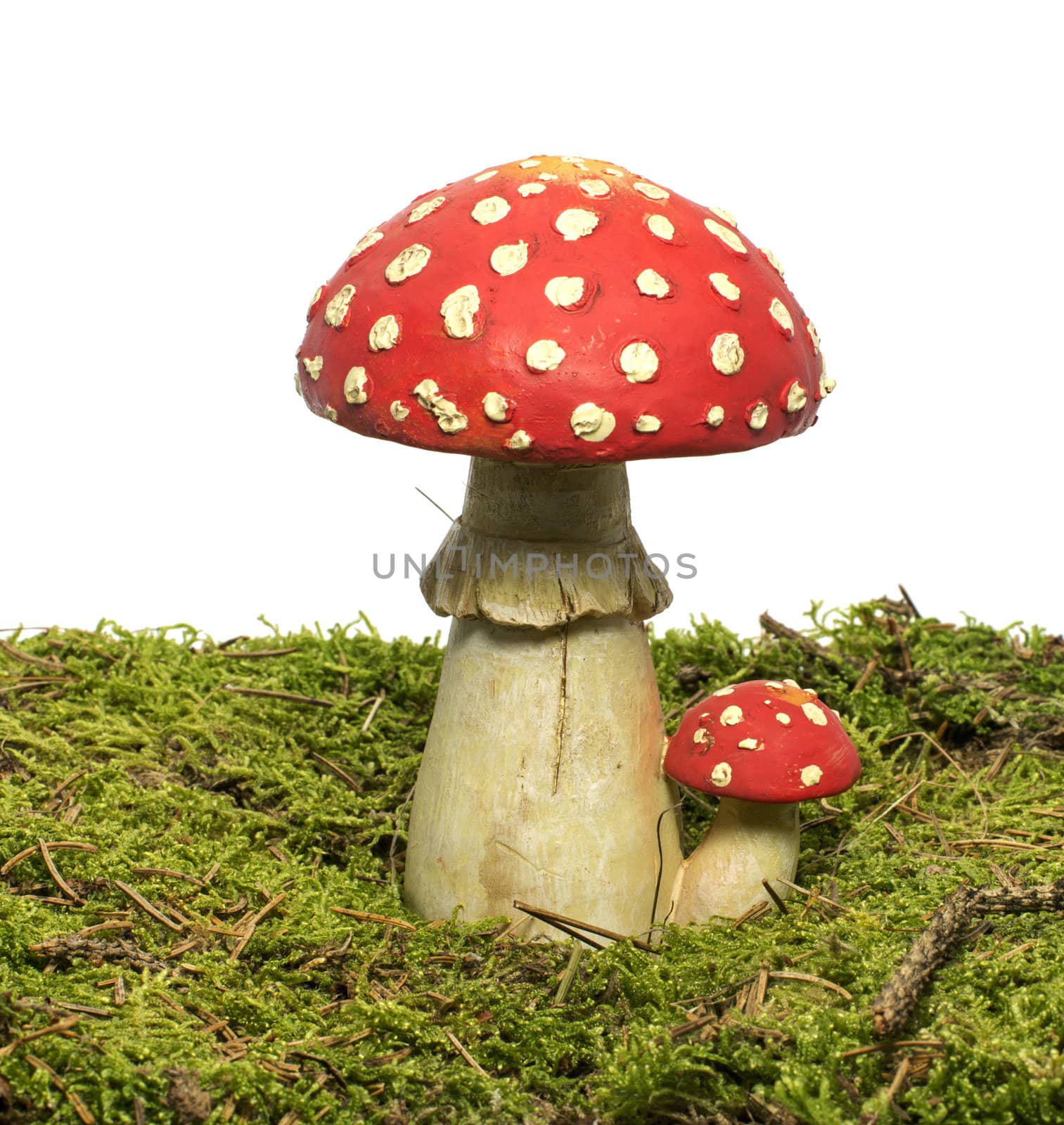 red and whte mushroom by compuinfoto