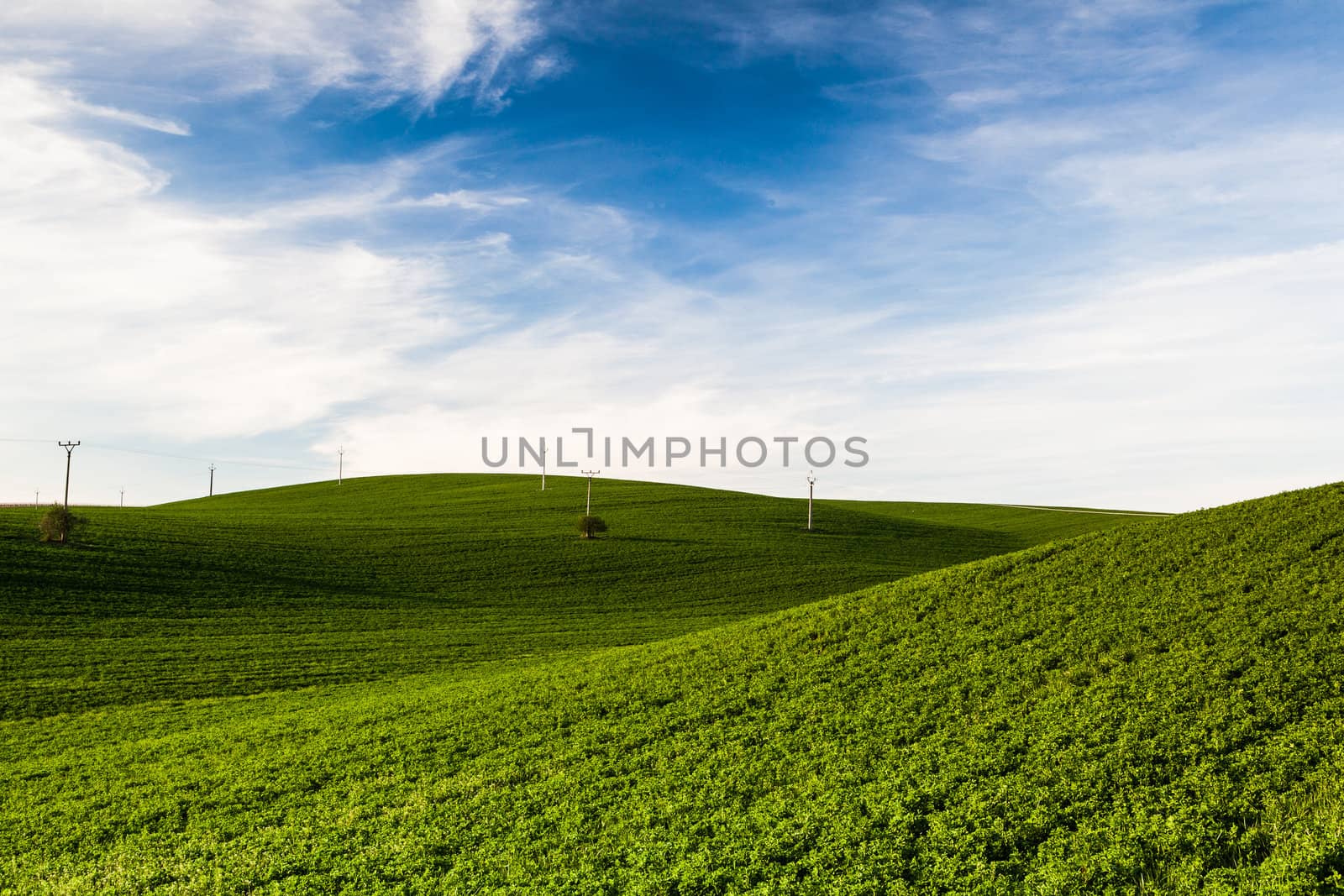 Landscape in the wine region of Moravia