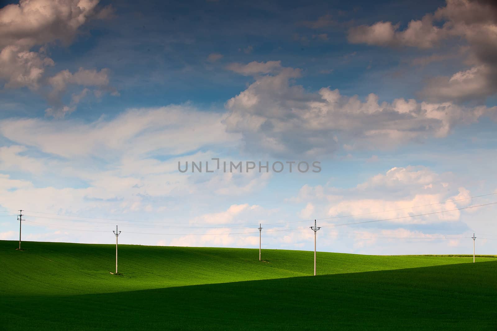 Power-transmission poles on the empty barley field in spring