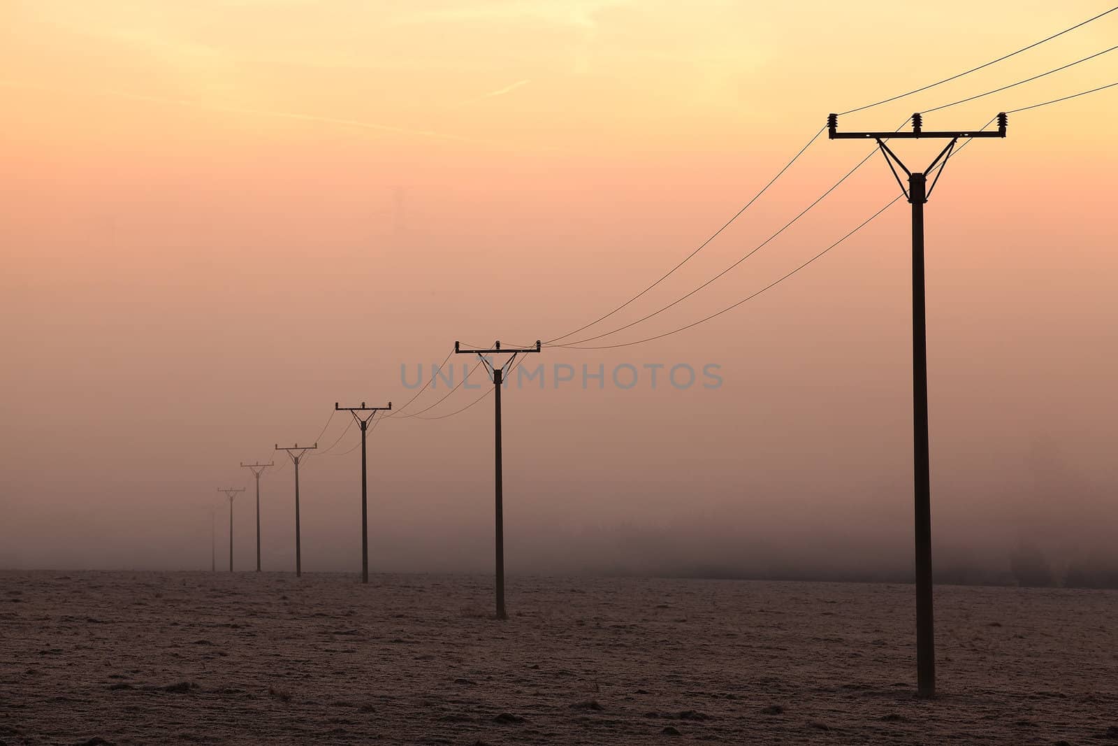 Power-transmission poles in the mist in winter nature