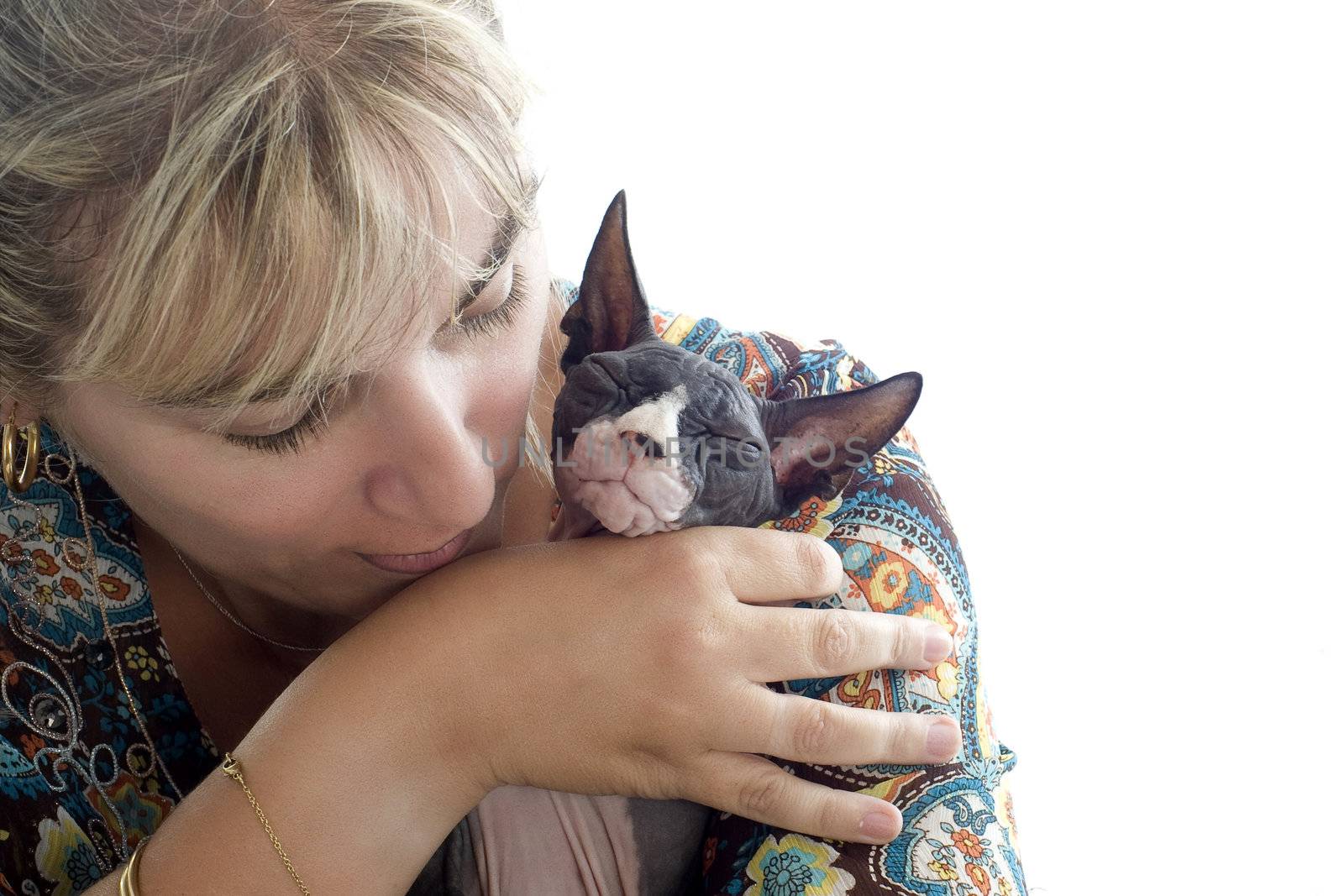 beautiful purebred sphynx cat and his owner in front of white background