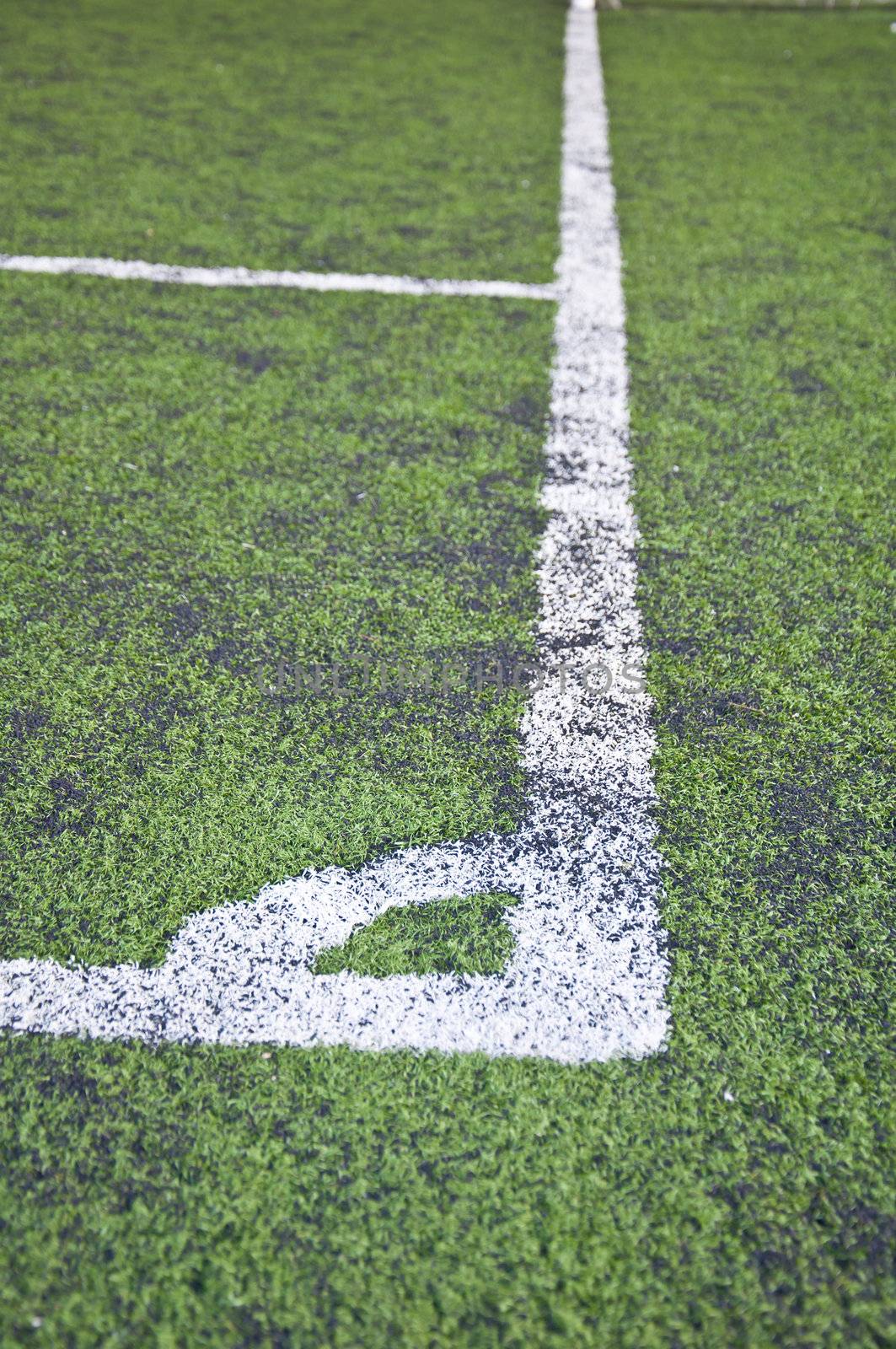 corner line of artificial grass indoor football field