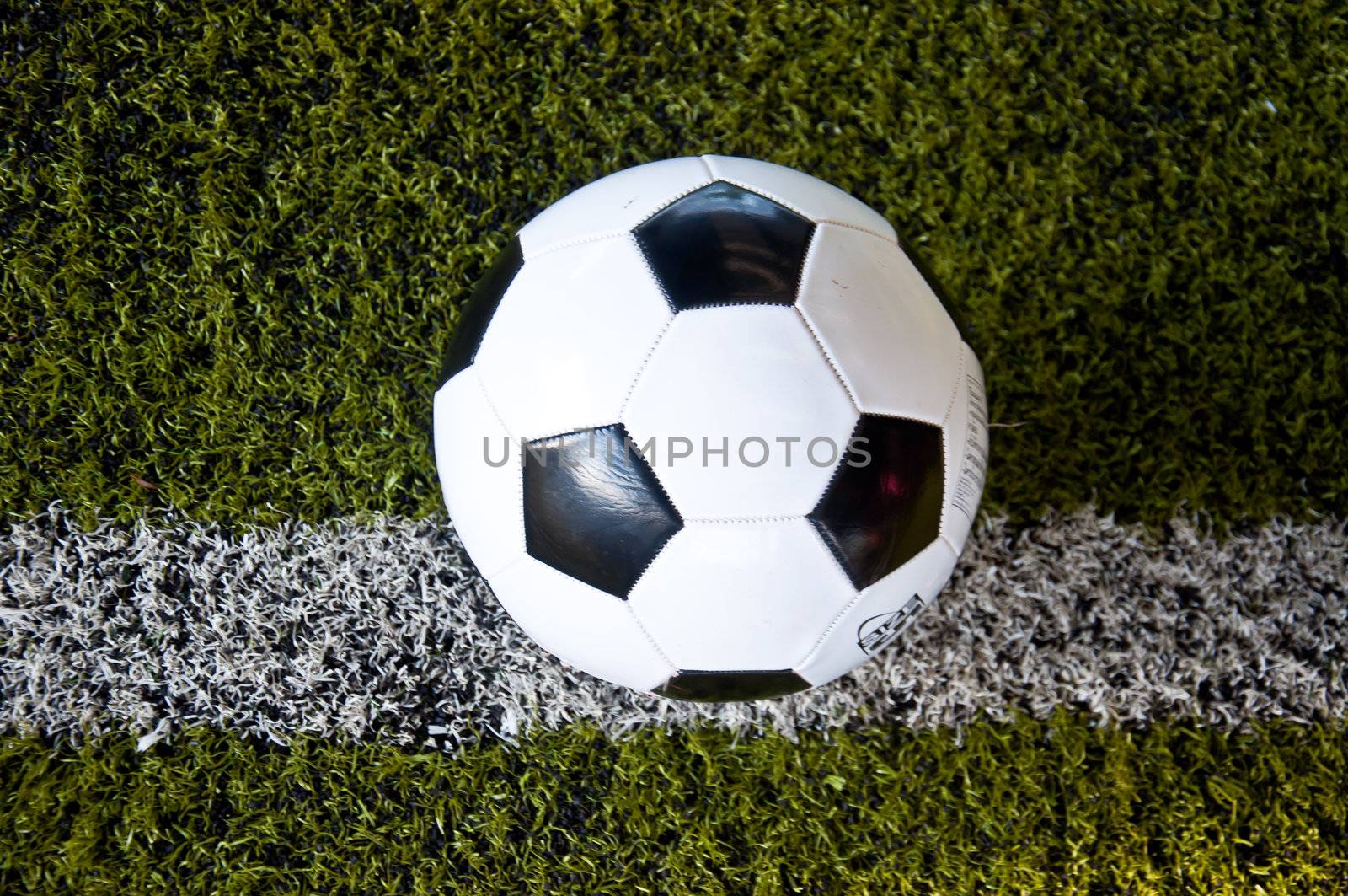 ball on white line of artificial grass  indoor football field