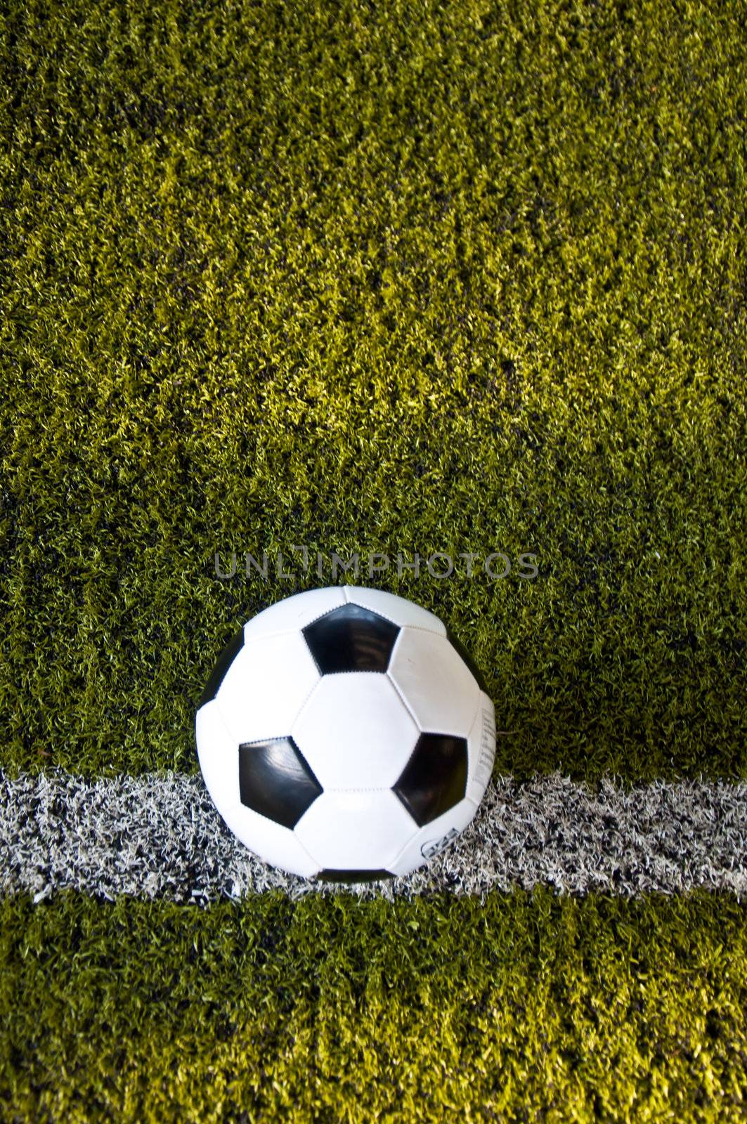 ball on white line of artificial grass  indoor football field