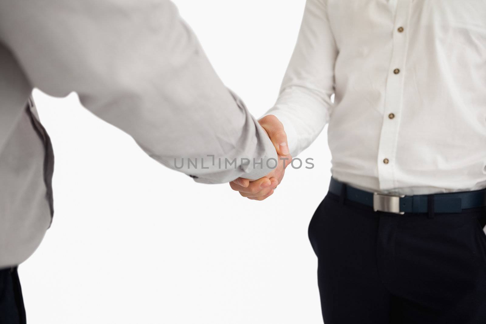 People shaking hands against a white background