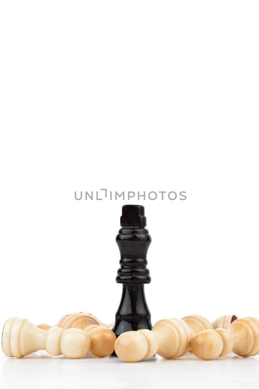 Pieces of chess game against a white background