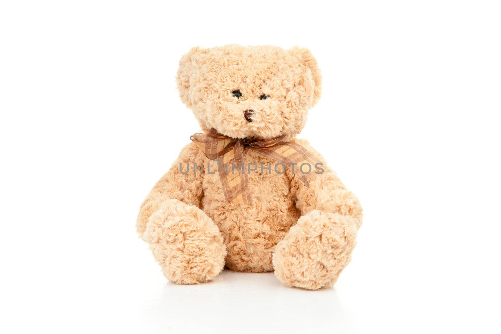 Teddy bear agaisnt a white background