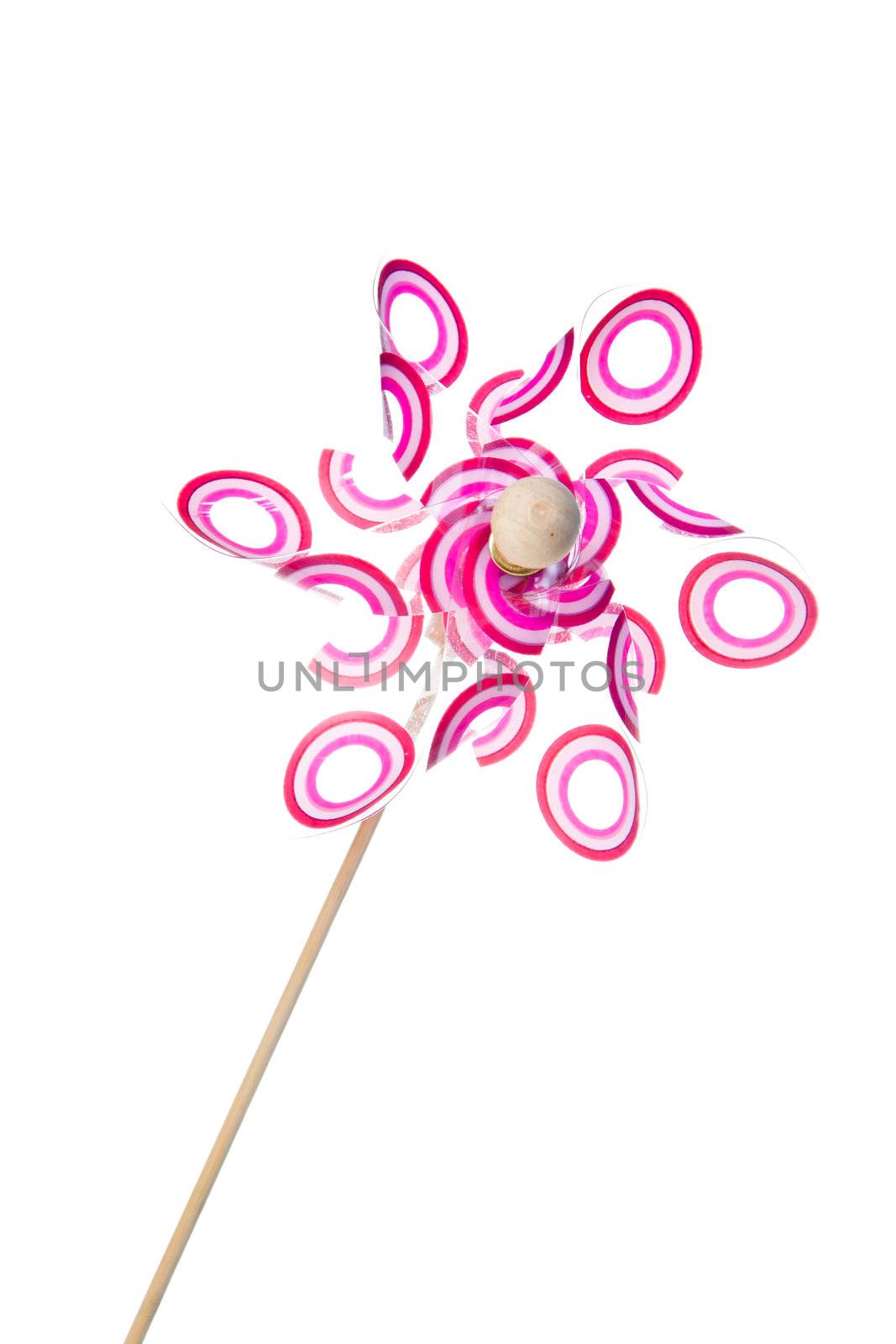 Pink pinwheel against a white background