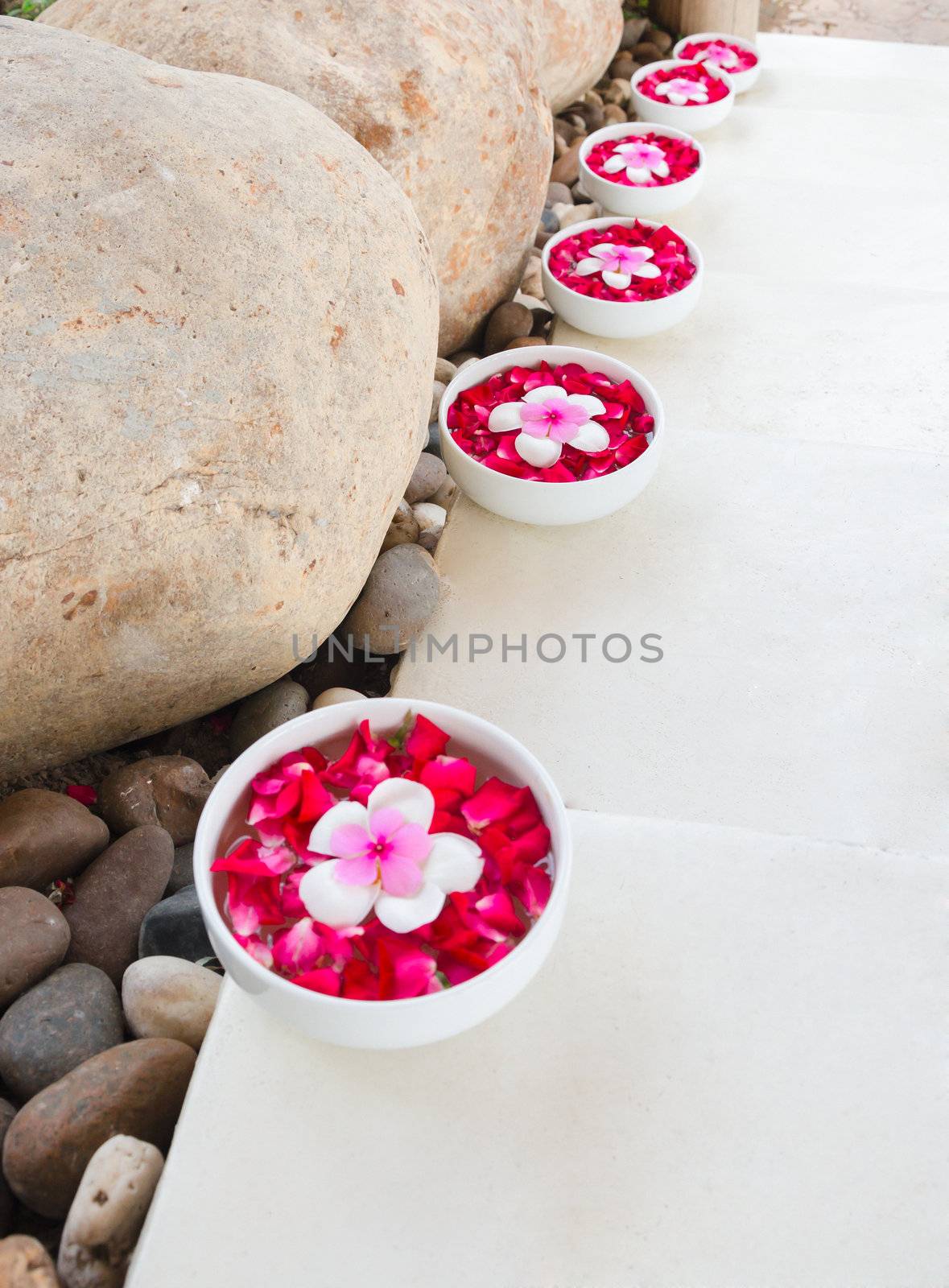 floating Plumeria flowers in a bowl of water at walkway