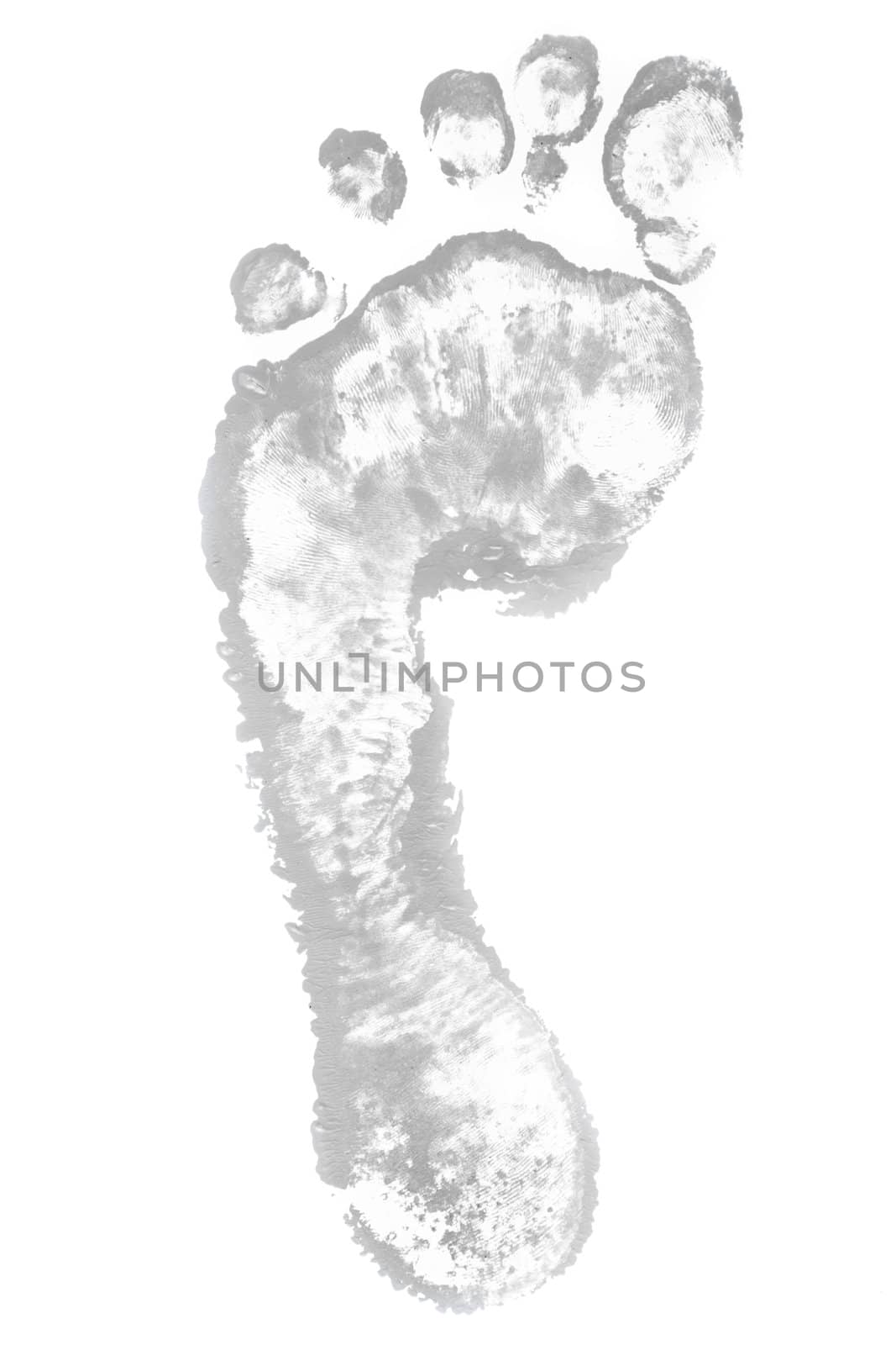 One grey footprint against a white background