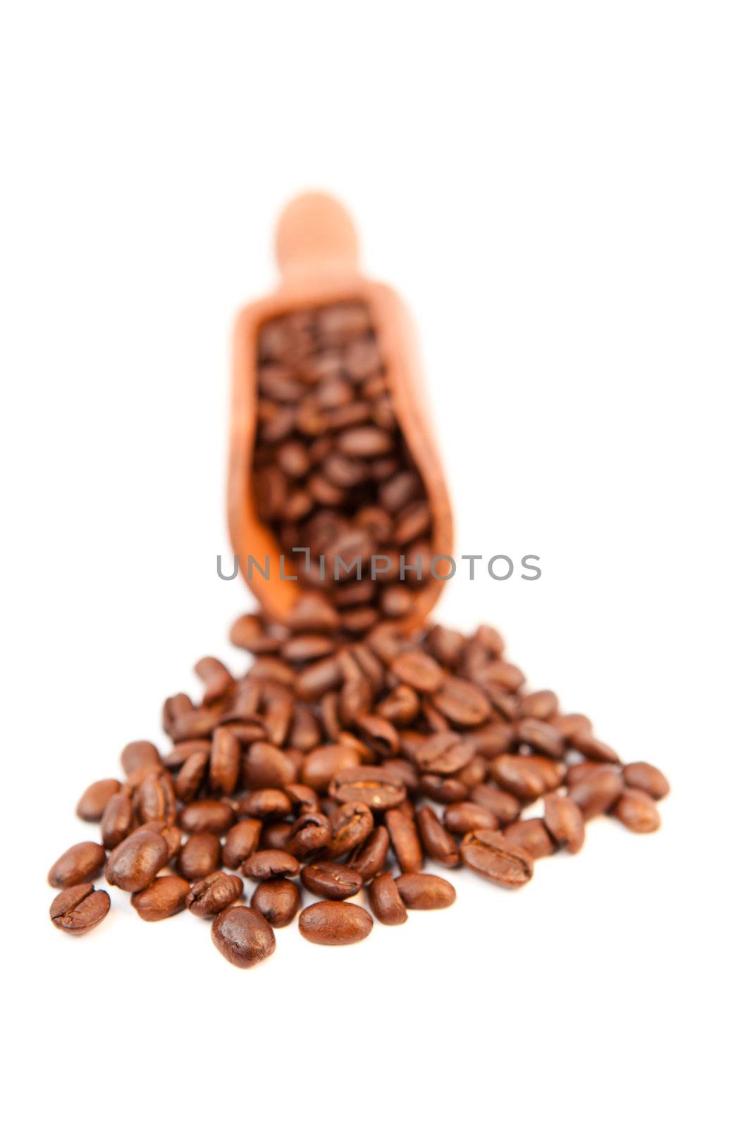 Coffee beans against a white background