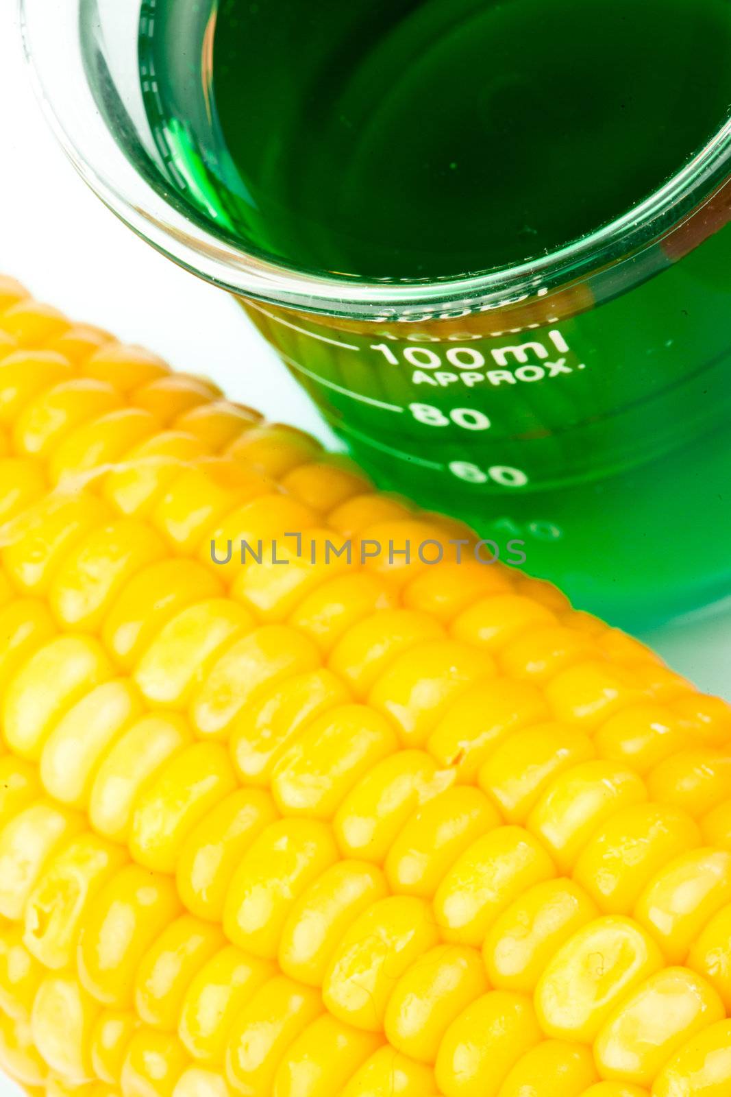 Beaker next to corn against a white background