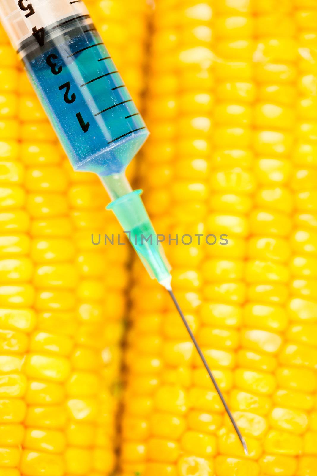 Syringe and corn against a white background
