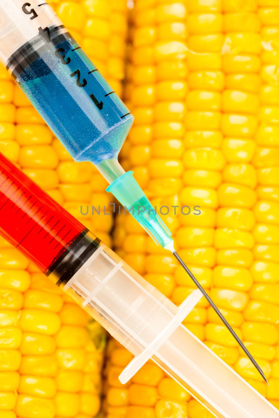 Two syringes on corn against a white background