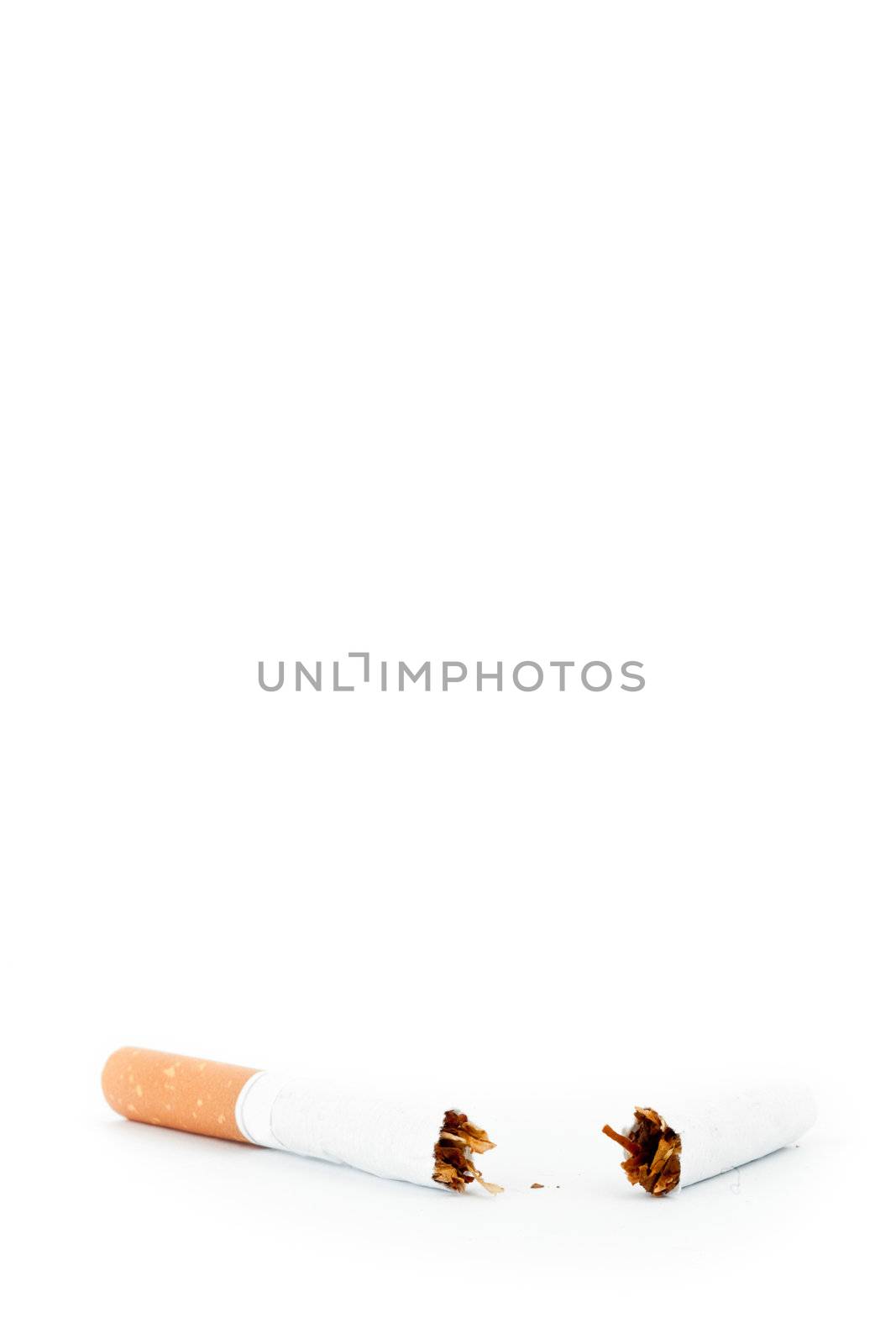 Close up of a cigarette broken against a white background