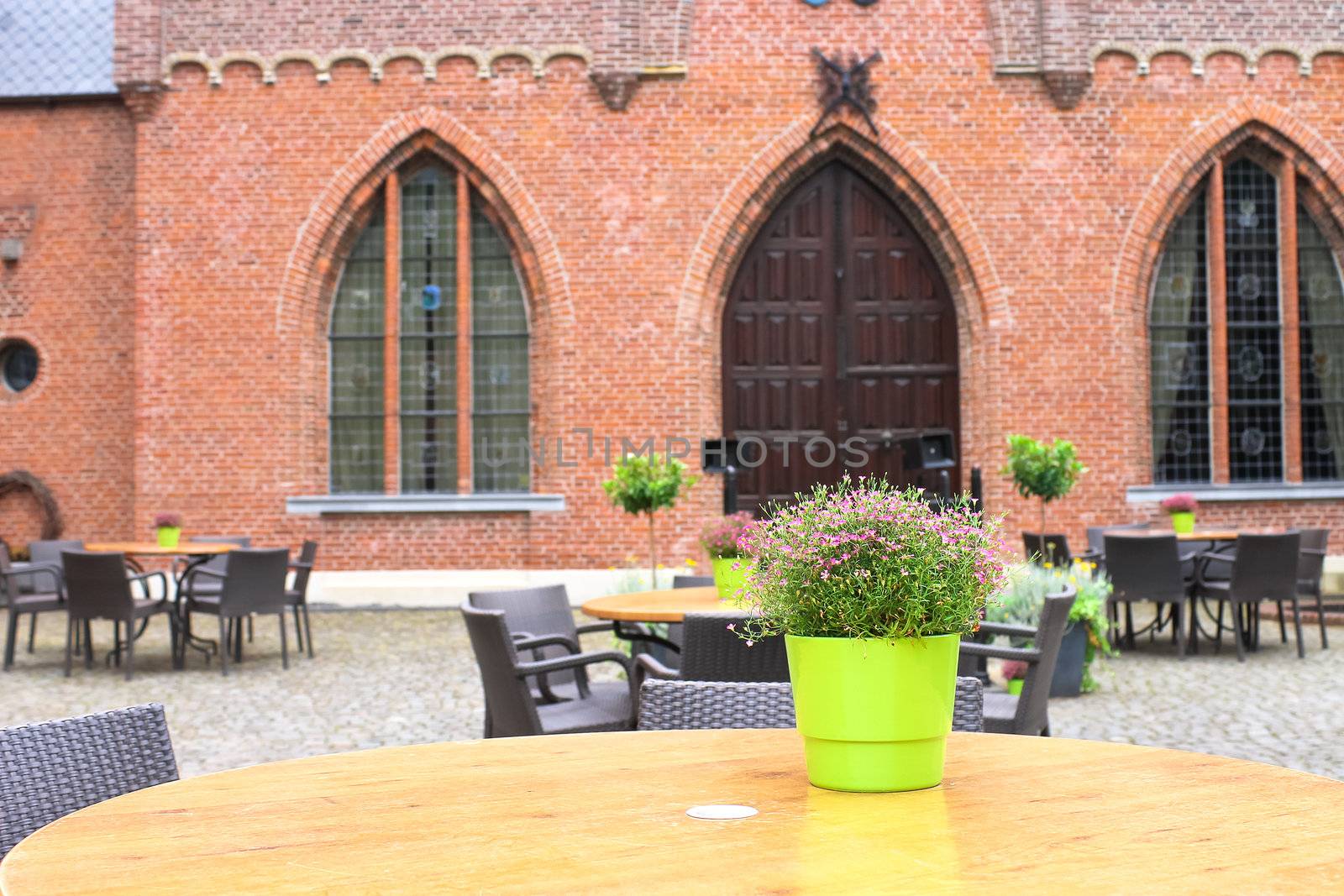 Flowers on the tables cafe in the castle Heeswijk. Netherlands by NickNick