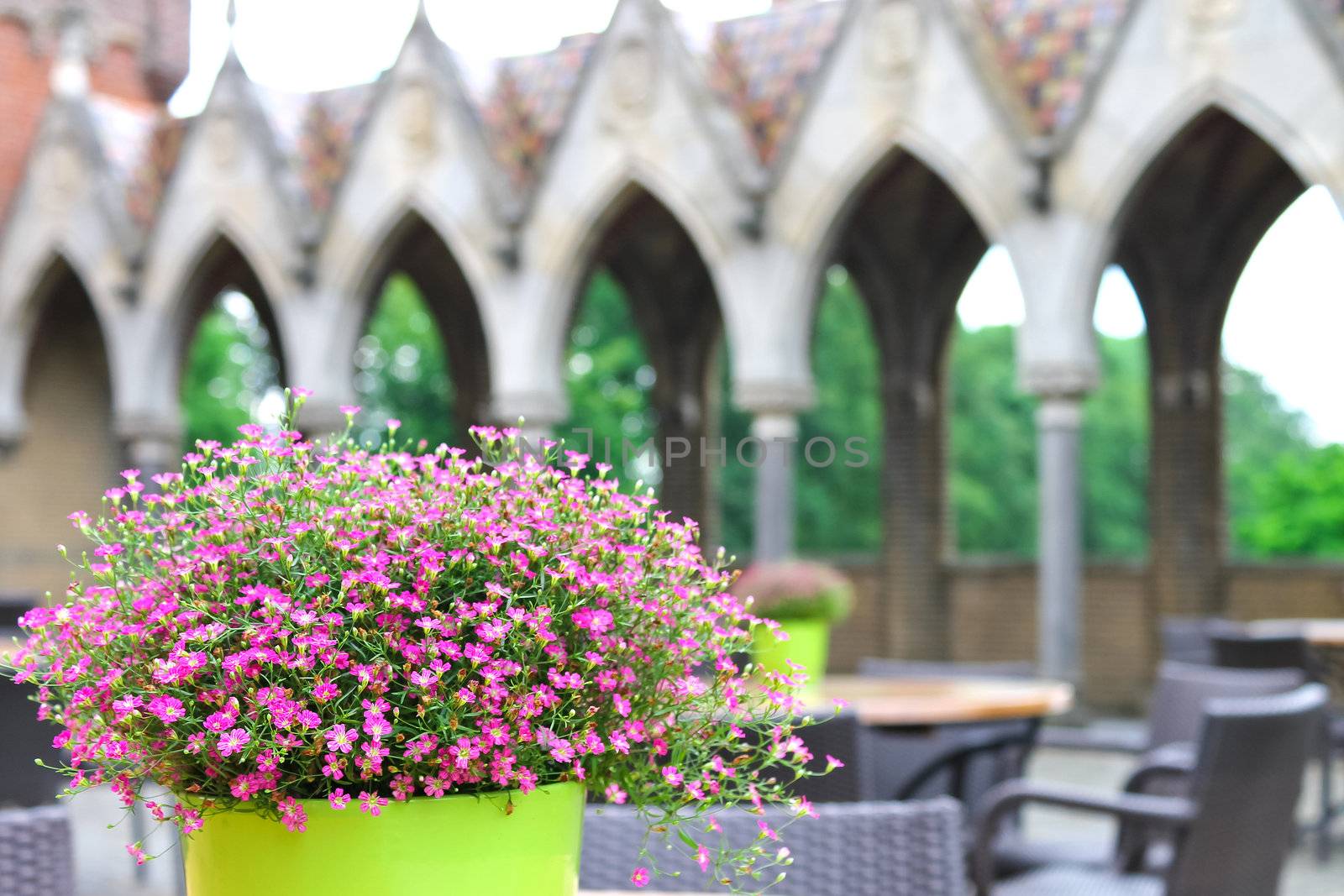 Flowers on the tables cafe in the castle Heeswijk. Netherlands by NickNick