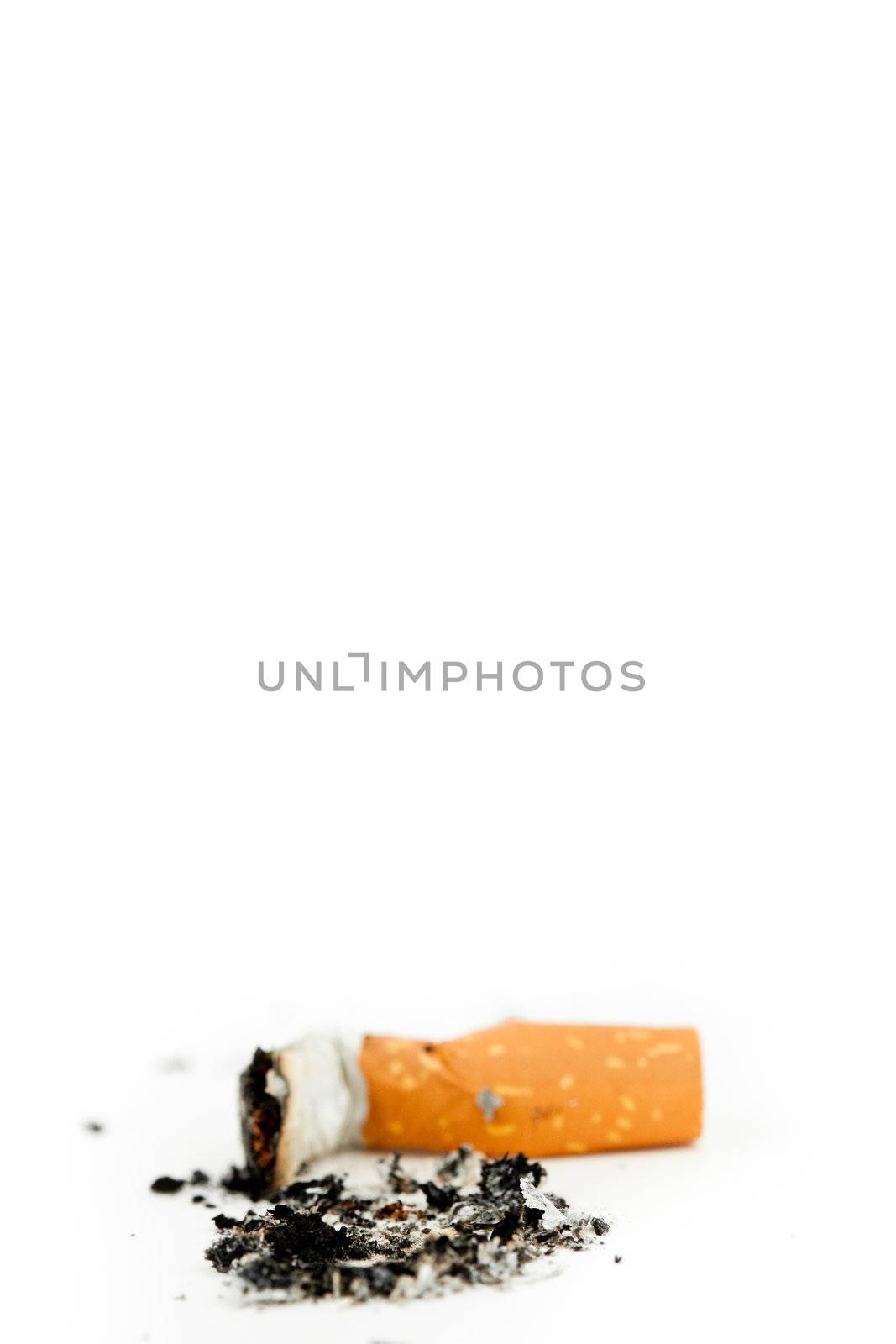 Cigarette put out against a white background