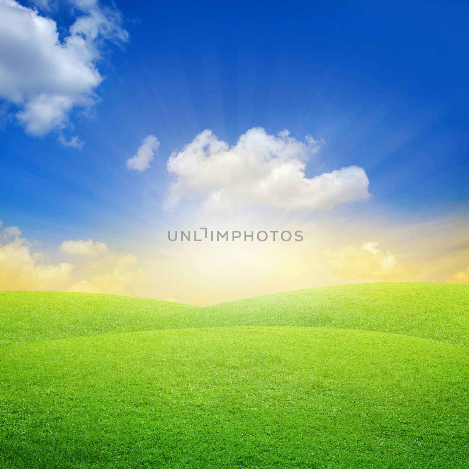 Green field with blue sky