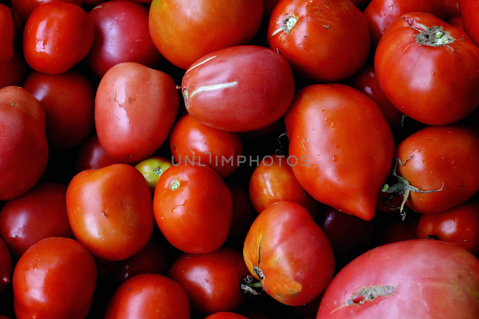 Red tomatoes