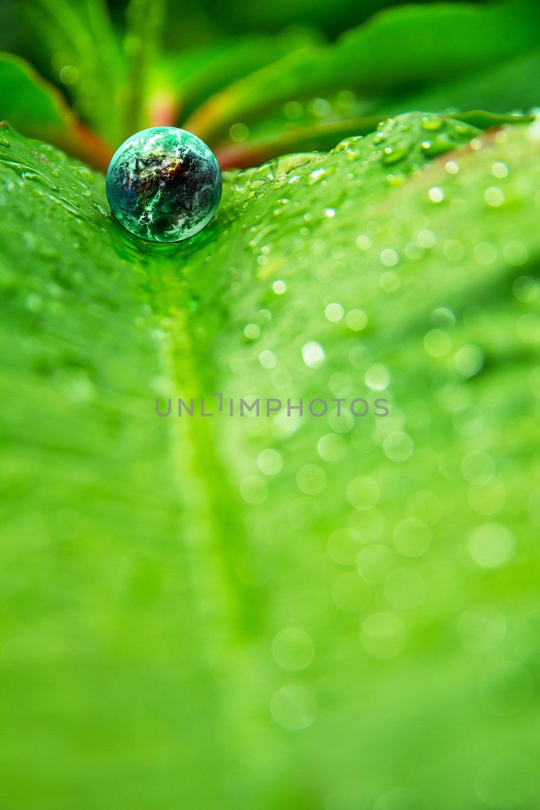 abstract image of small world in nature