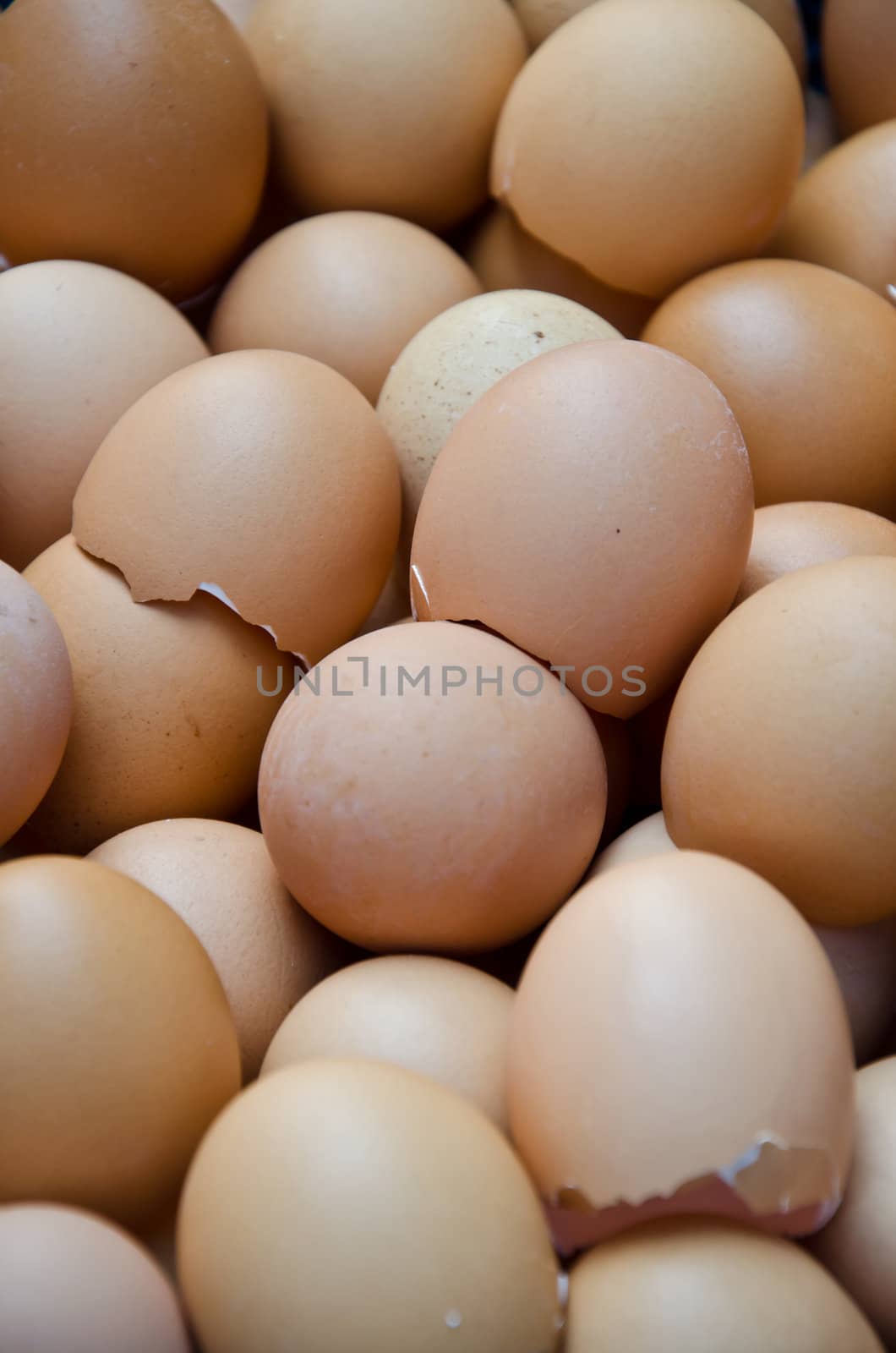 eggs







egg