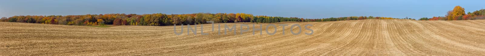 Plowed Field Panorama by wolterk