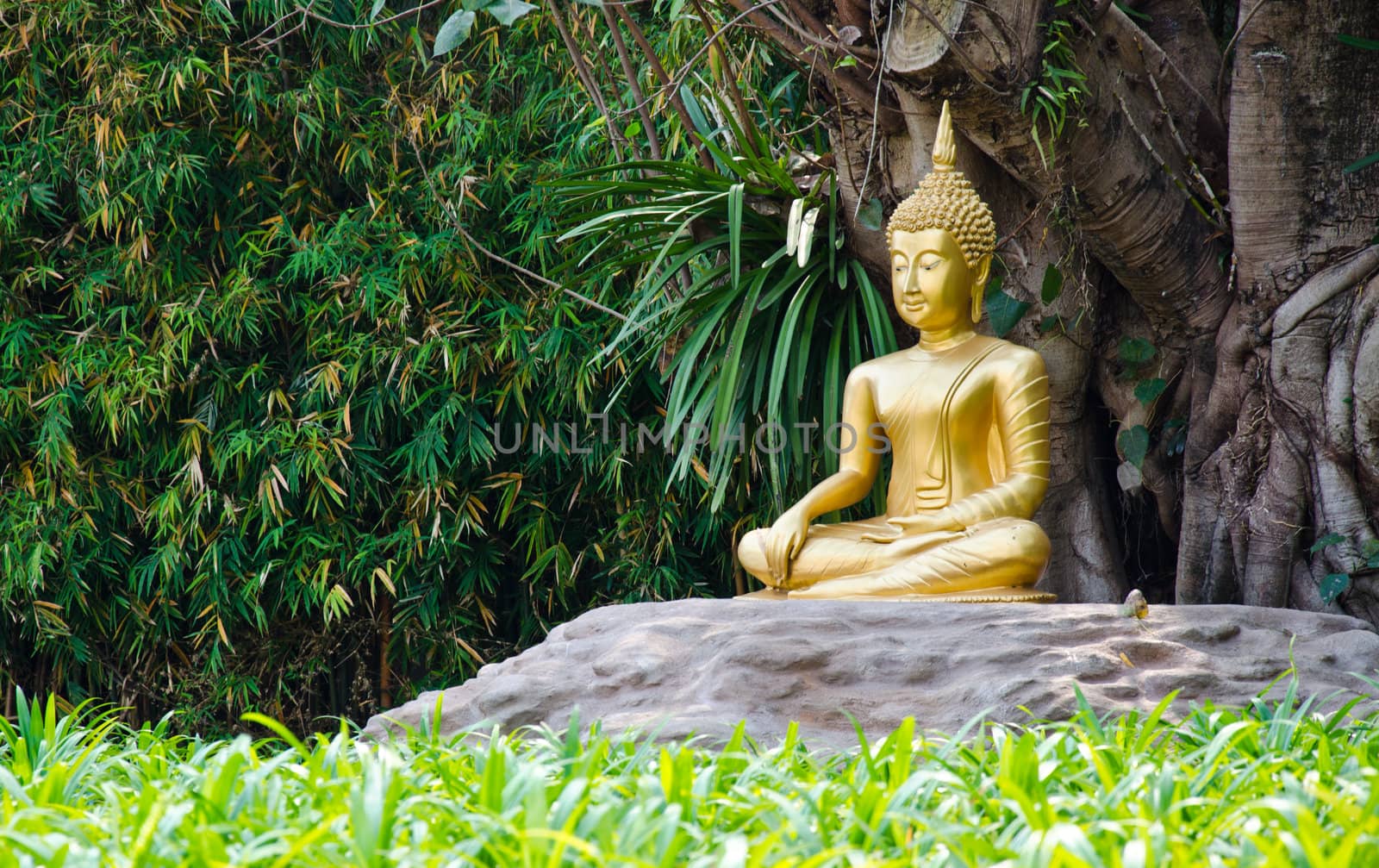 gold image of buddha