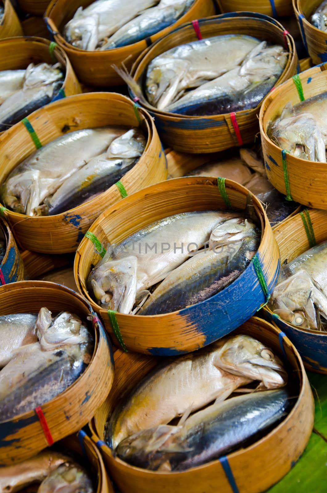 thai mackerel