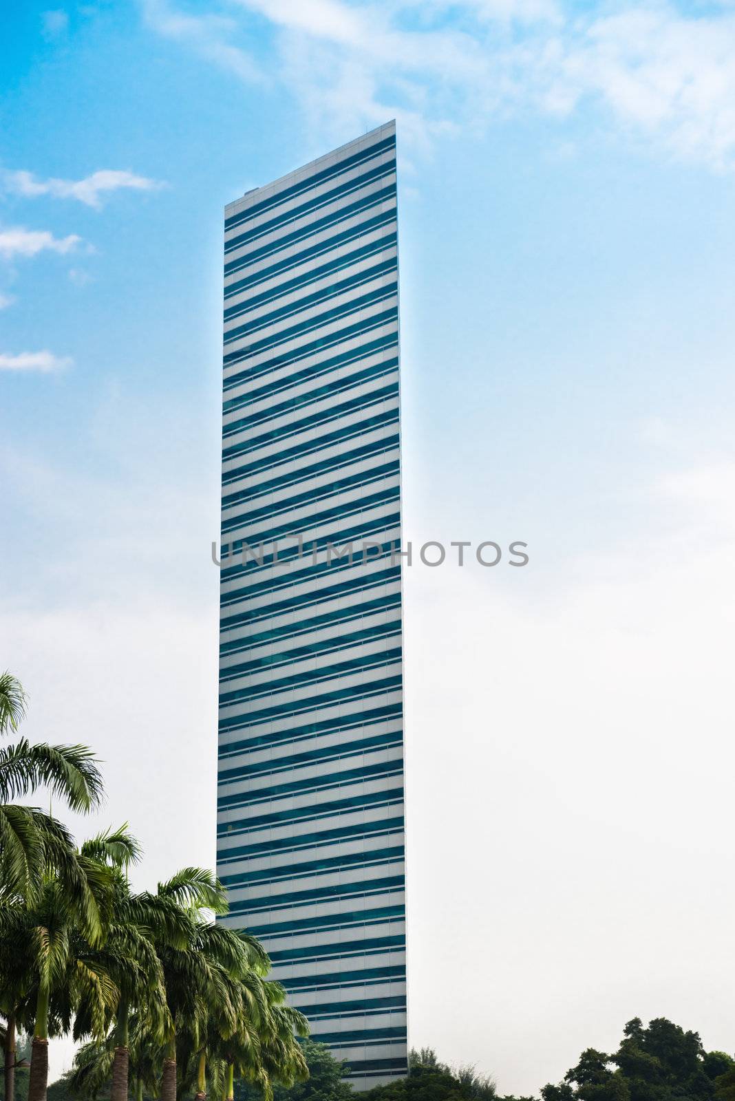 Skyscraper with blue sky on background and palms on front