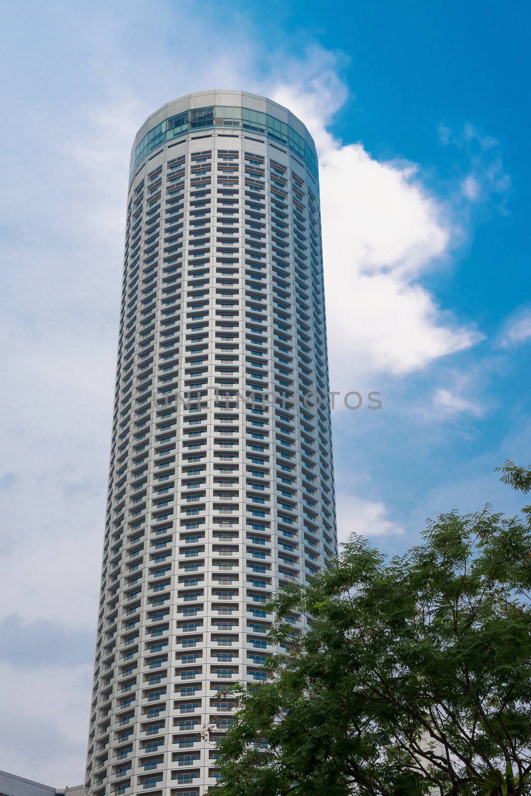 Skyscraper with blue sky and and tree by iryna_rasko