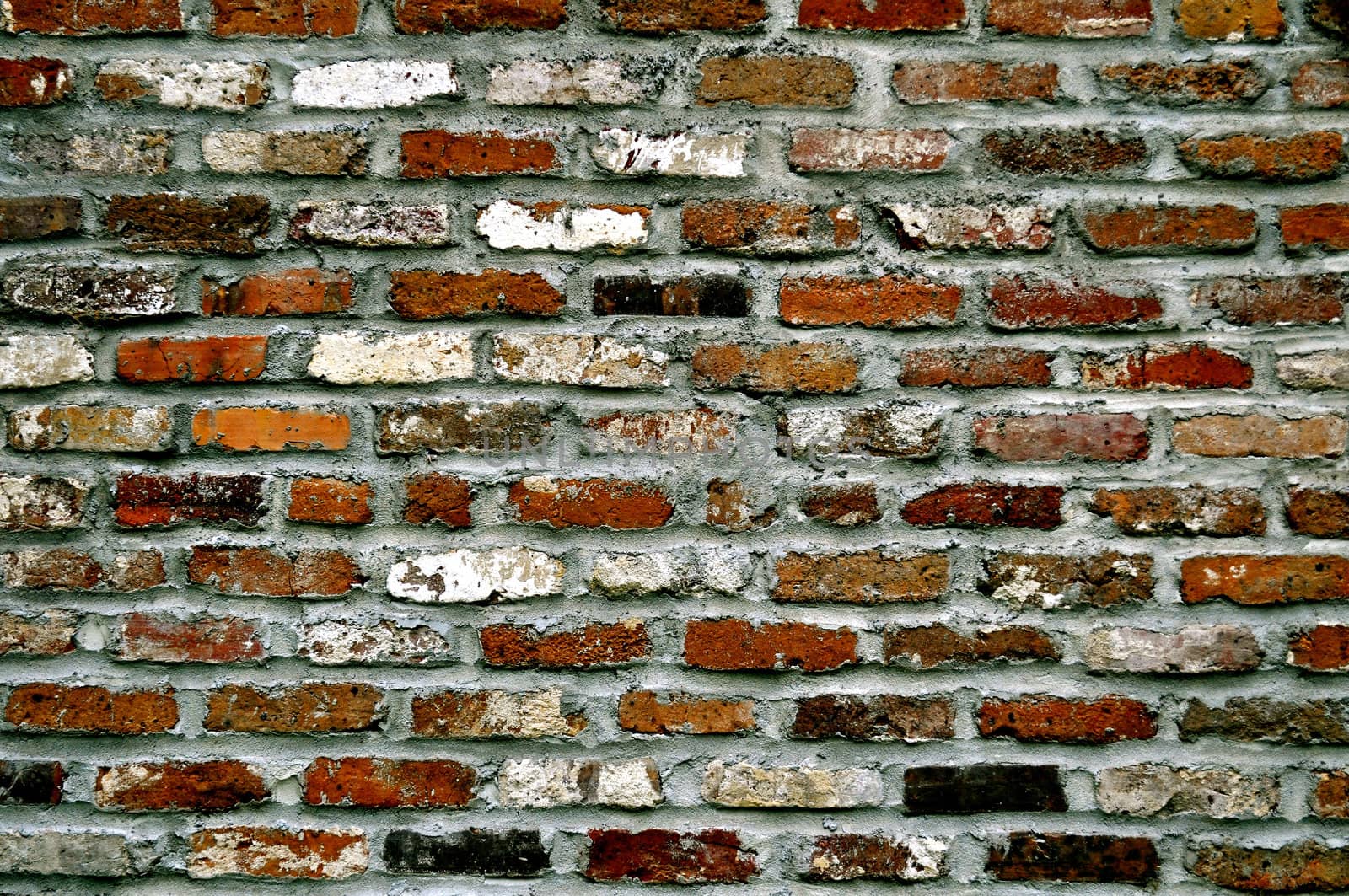 Brick Wall by RefocusPhoto