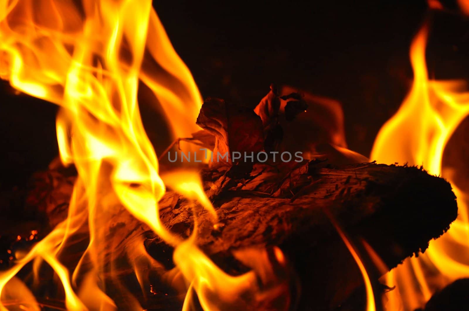 Campfire Flames by RefocusPhoto