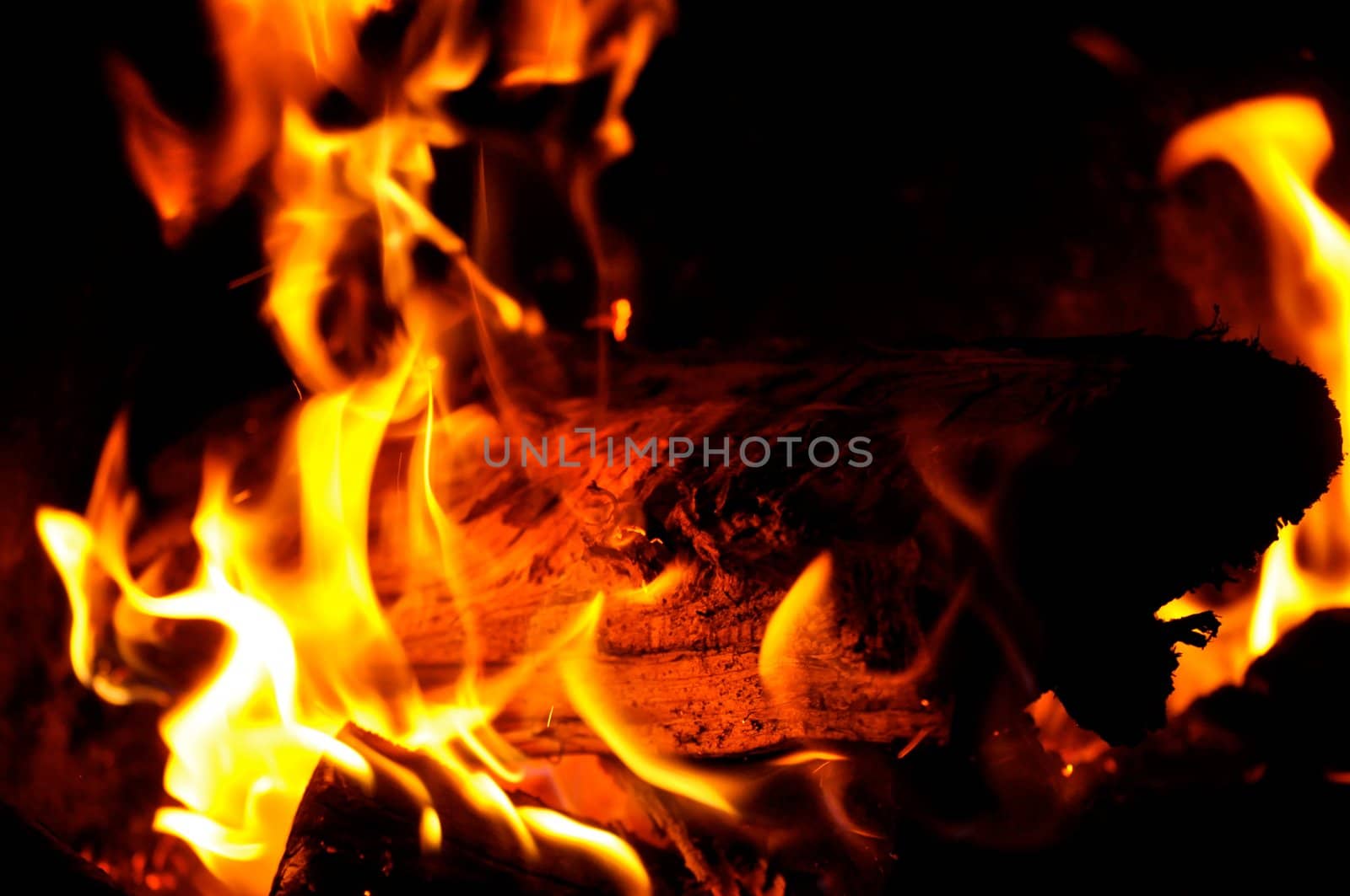 Campfire Flames by RefocusPhoto