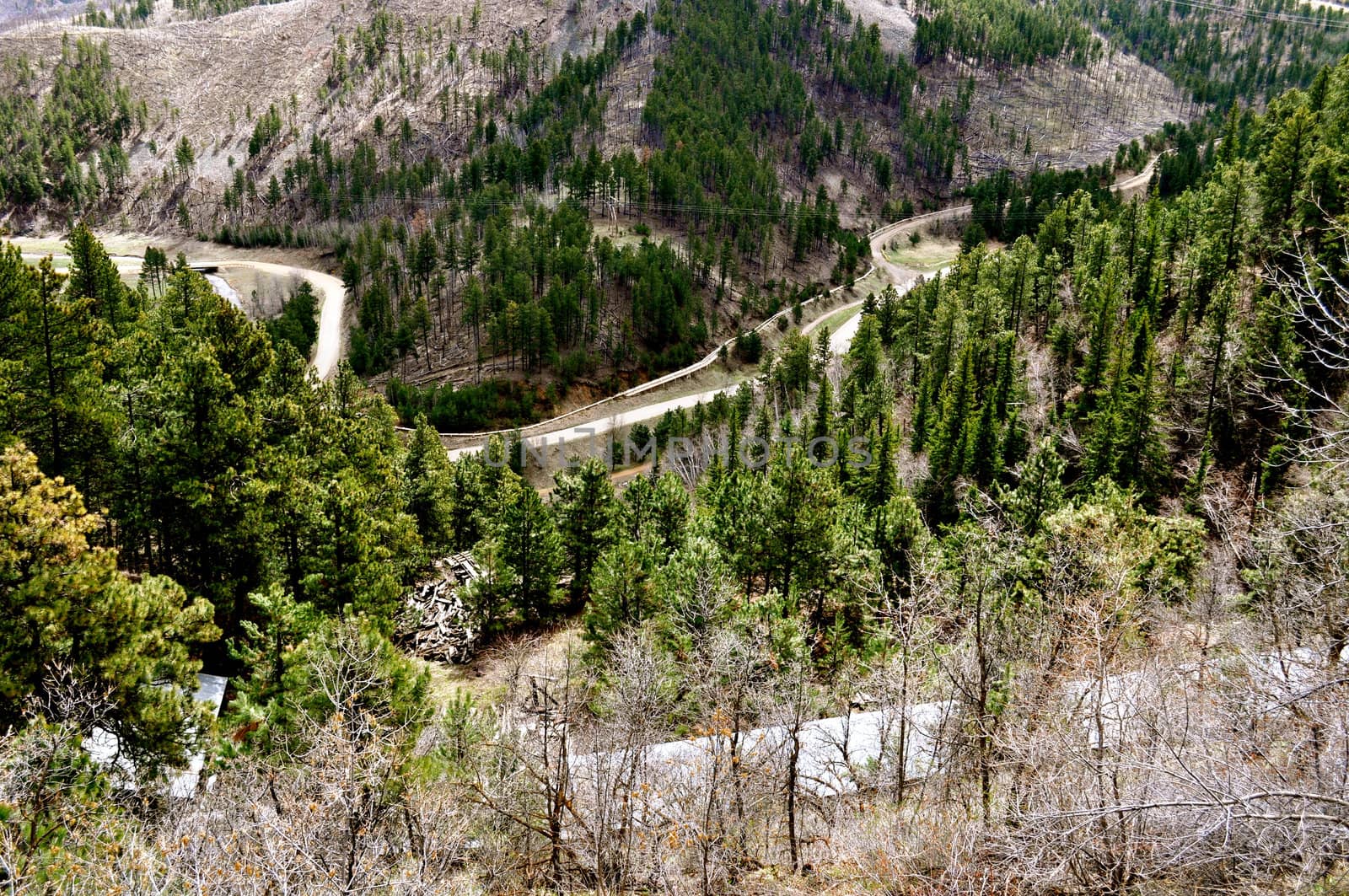 Deadwood hills and road by RefocusPhoto